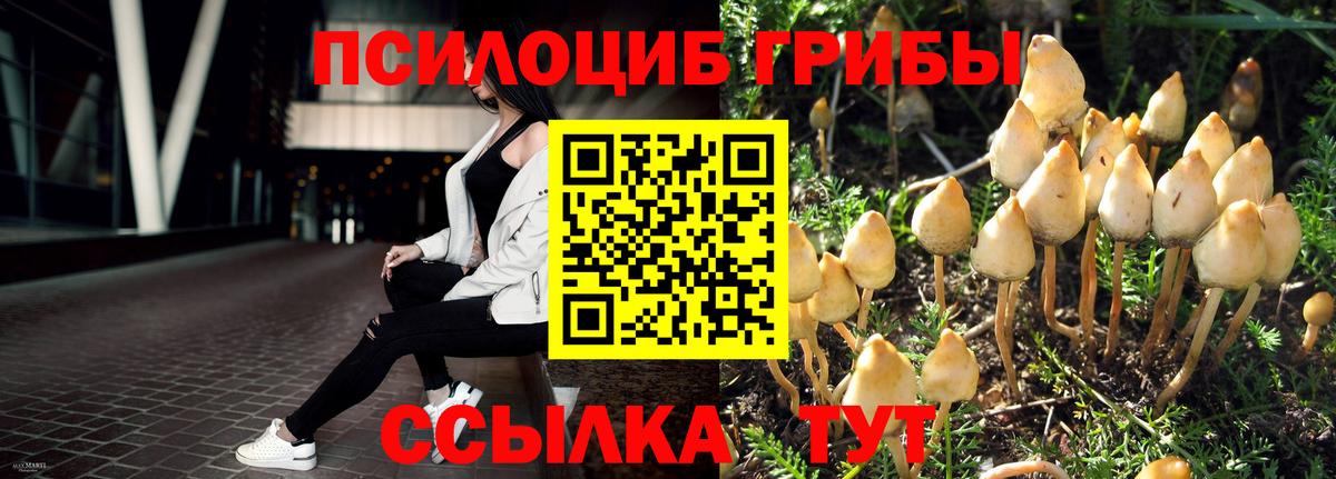 Воркута  Псилоцибиновые грибы Magic Shrooms  Вход с VPN  Галлюциногенные грибы Magic Shrooms 